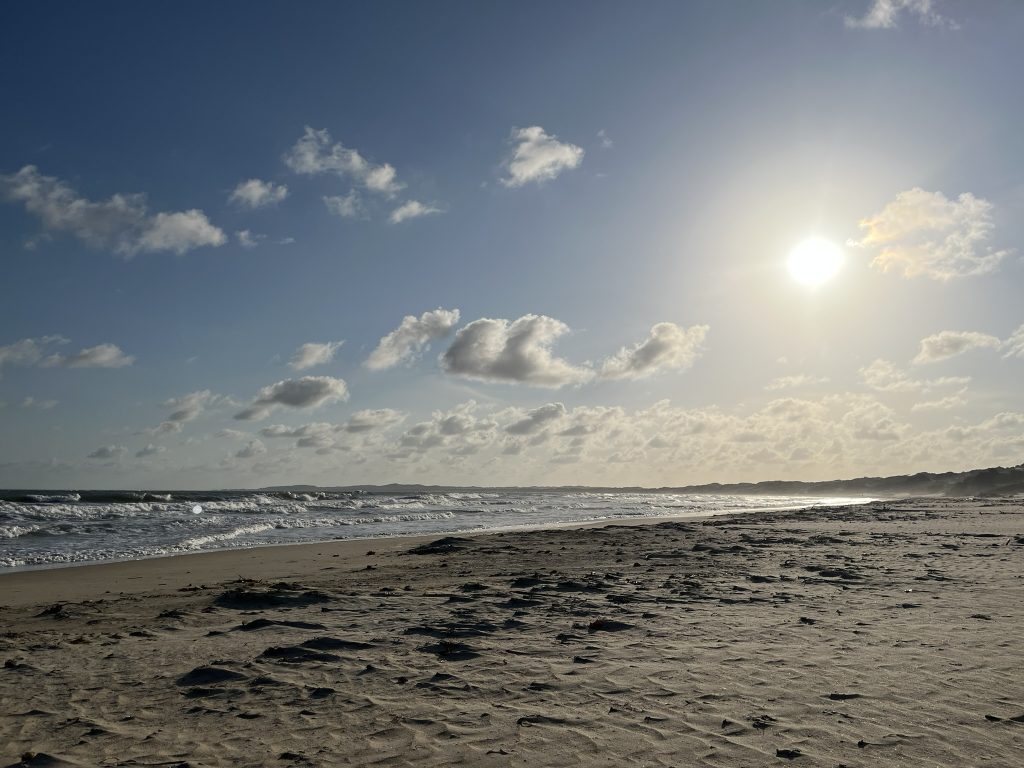 Lamu Shela