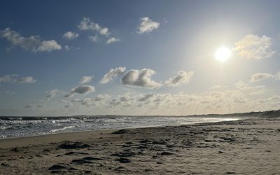 Egy talált fotó, egy boldog tárgy és egy boldog emlék találkozása Lamu szigetén